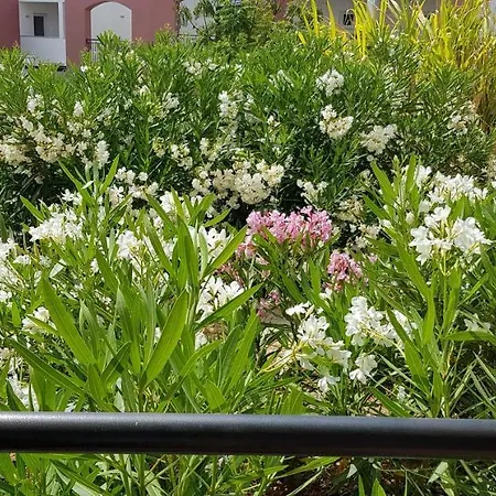 Apartament Opomar Casa Anne-marie By Cara Tavira